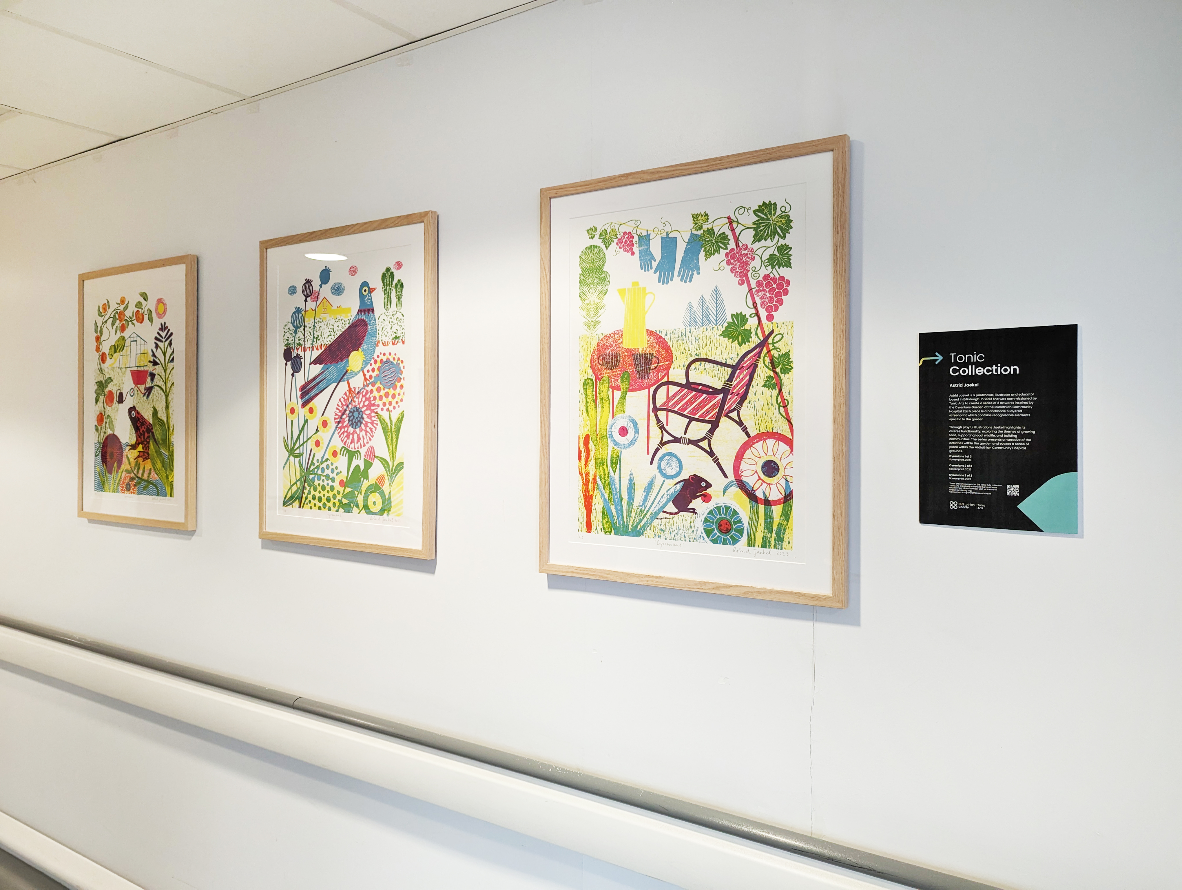 Expert Picture Hanger in Scotland for Your Art Needs.